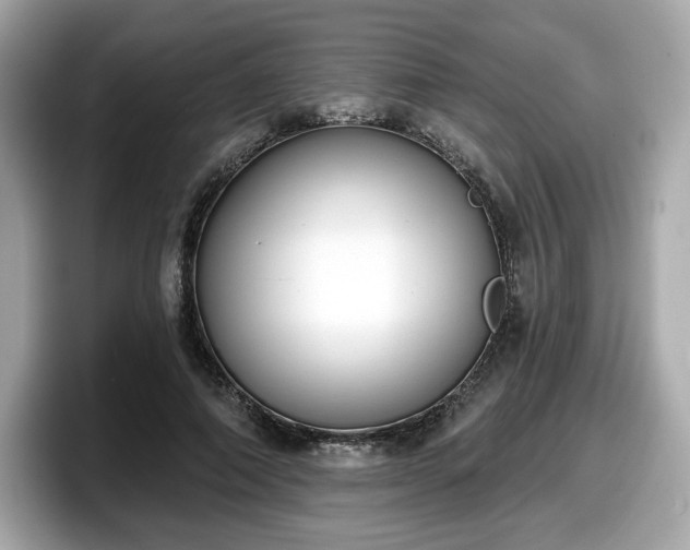 X0000098110690200804111055