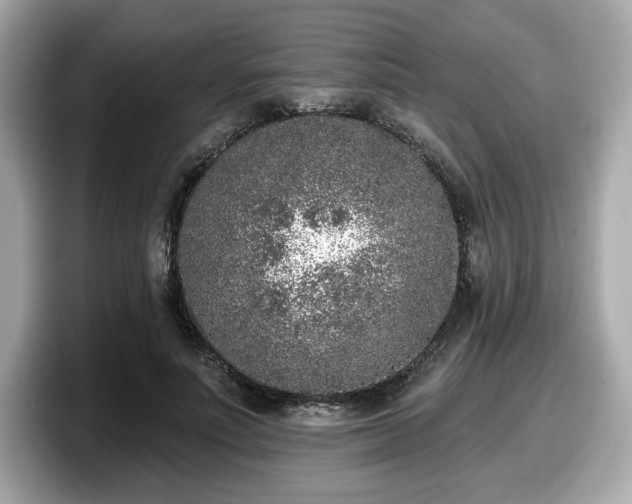 X0000098110691200804111055