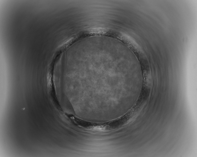X0000098110692200804111055
