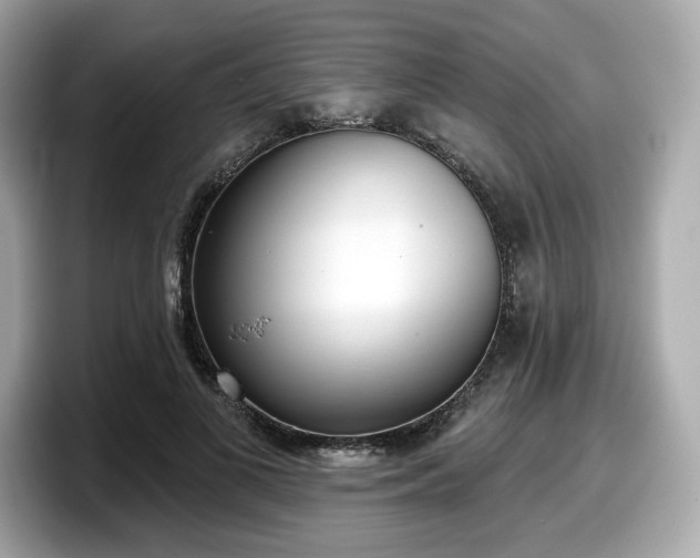 X0000098110693200804111055