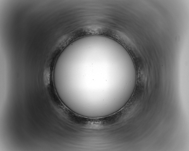 X0000098110694200804111055