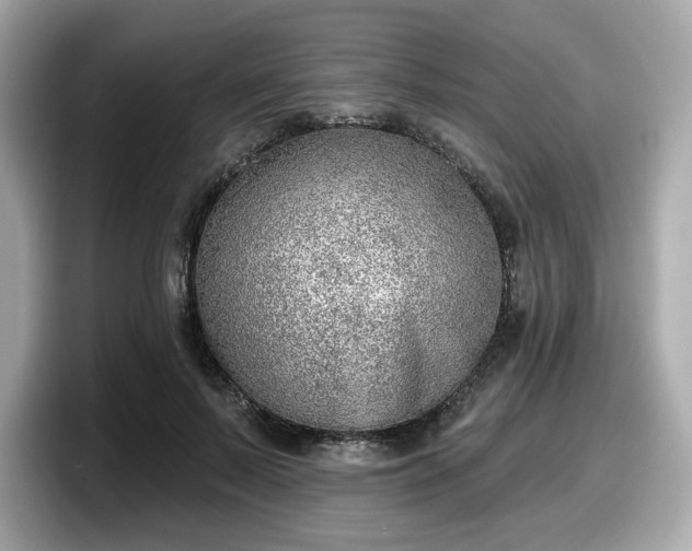 X0000098110695200804111055