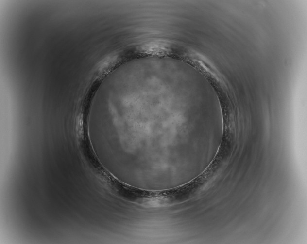 X0000098110696200804111055