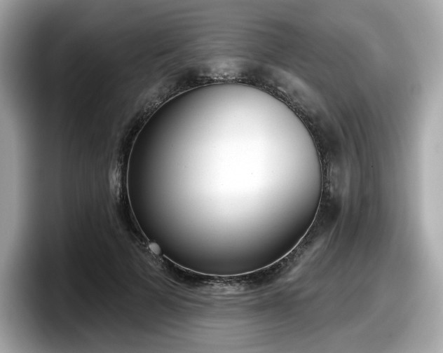 X0000098110697200804111055