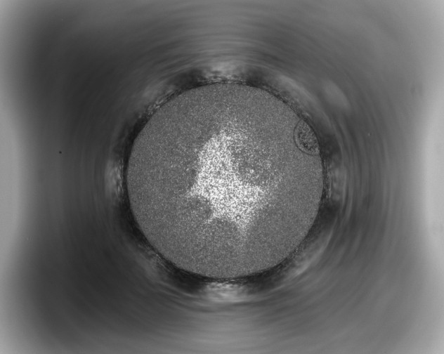 X0000098110699200804111055