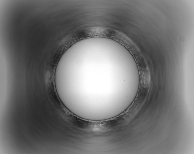 X0000098110701200804111055