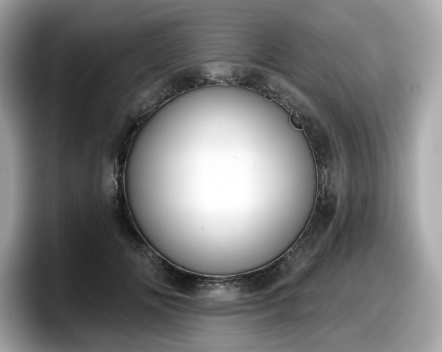 X0000098110702200804111055