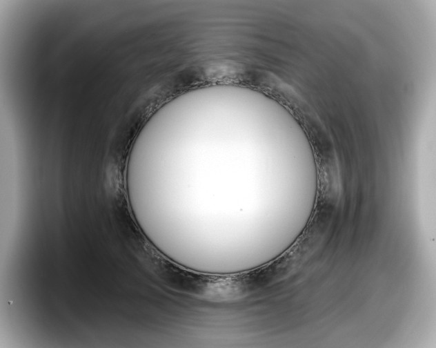 X0000098110705200804111055