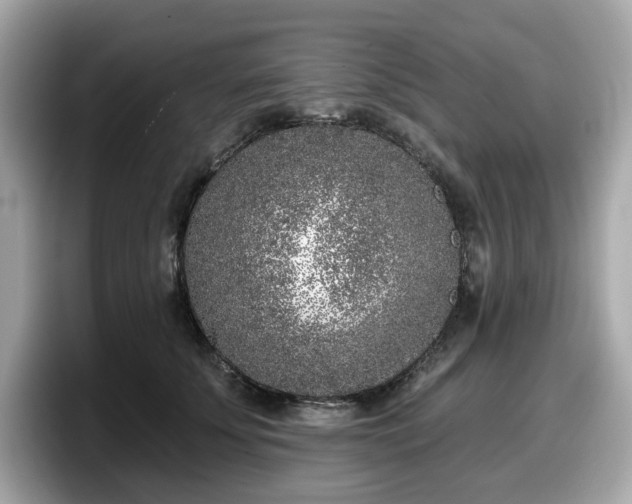 X0000098110707200804111055