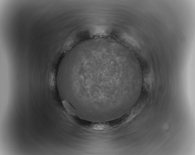 X0000098110708200804111055