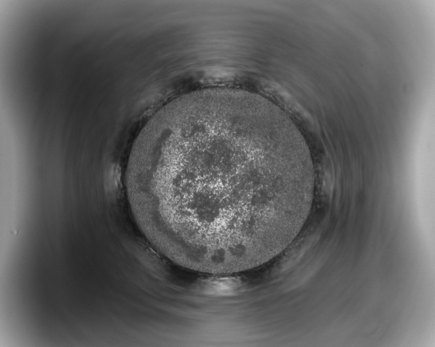 X0000098110711200804111055
