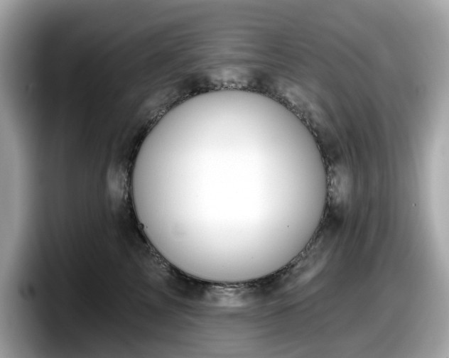 X0000098110713200804111055