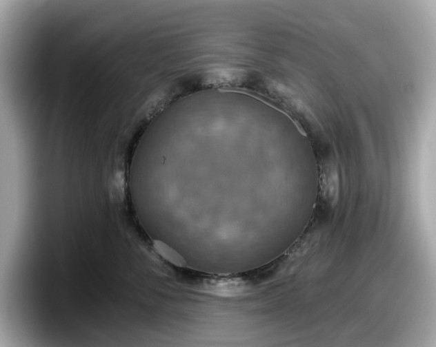 X0000098110716200804111055