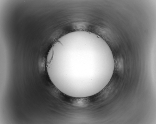 X0000098110717200804111055