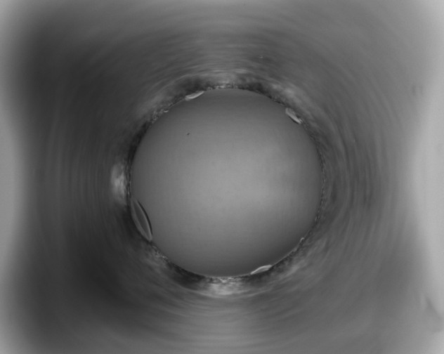 X0000098110720200804111055