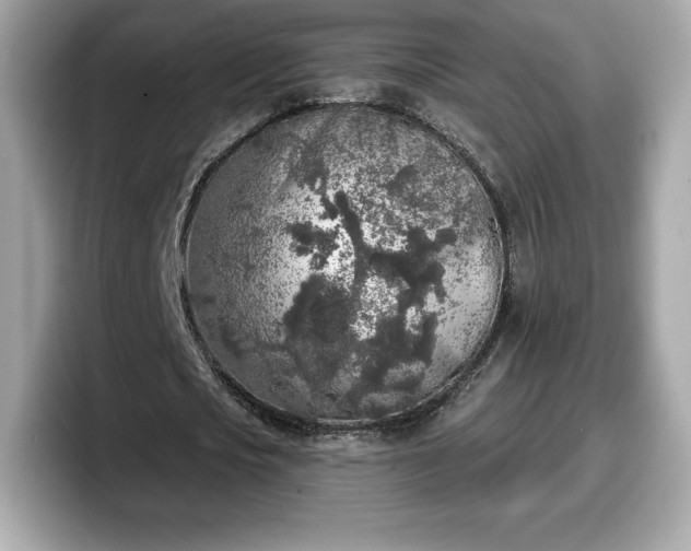 X0000098110721200804111054