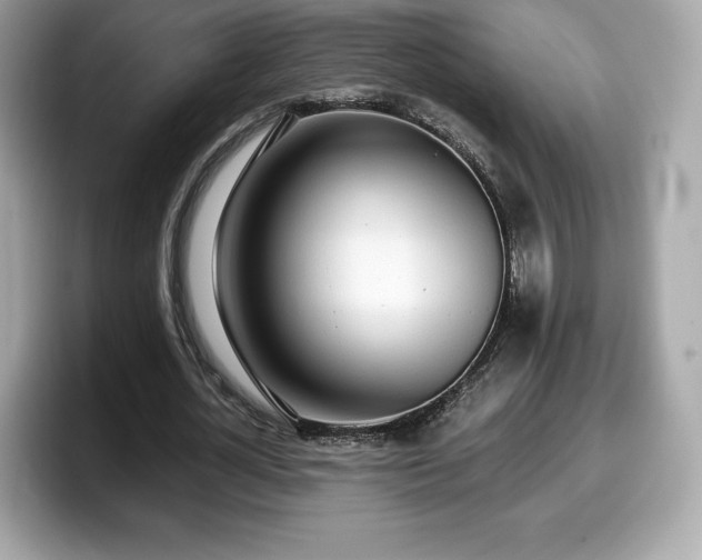 X0000098110724200804111054