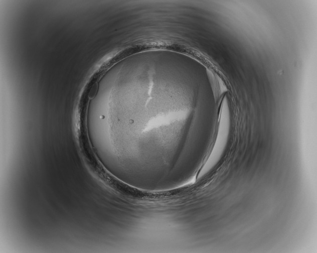 X0000098110726200804111054