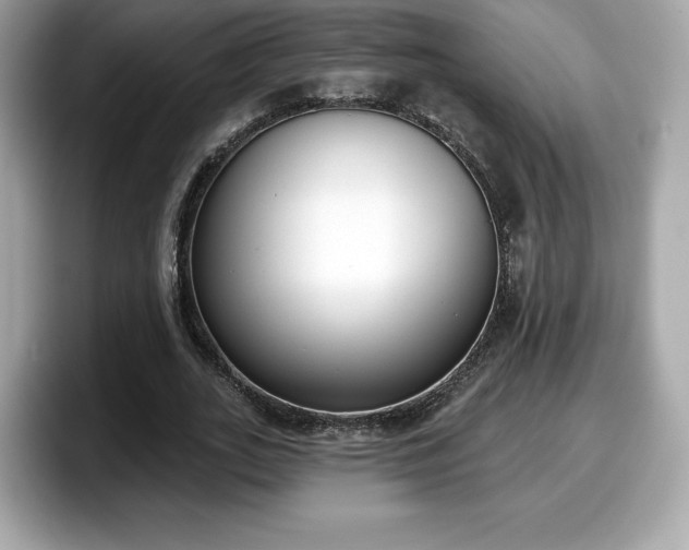 X0000098110727200804111054