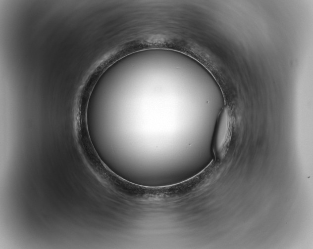 X0000098110728200804111054