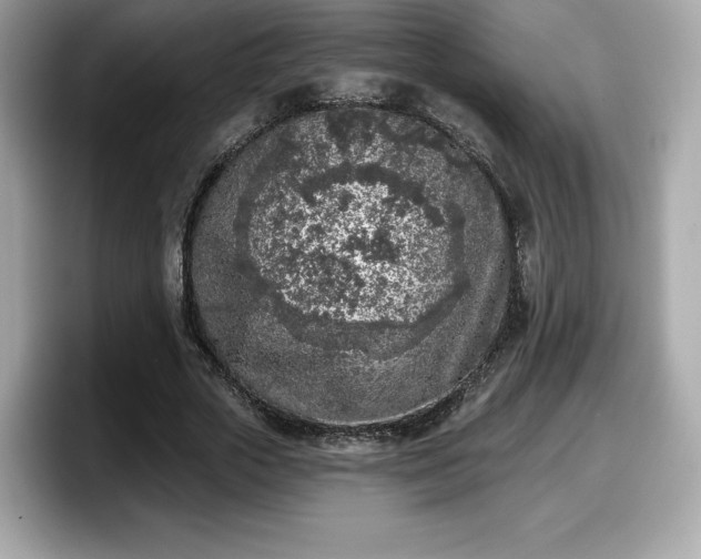 X0000098110729200804111054