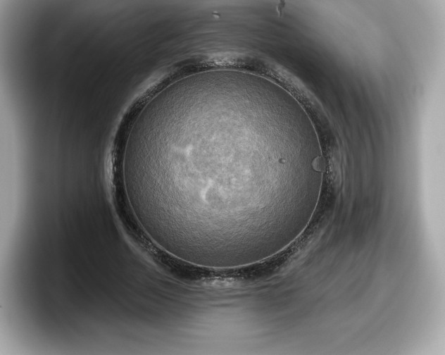 X0000098110730200804111054