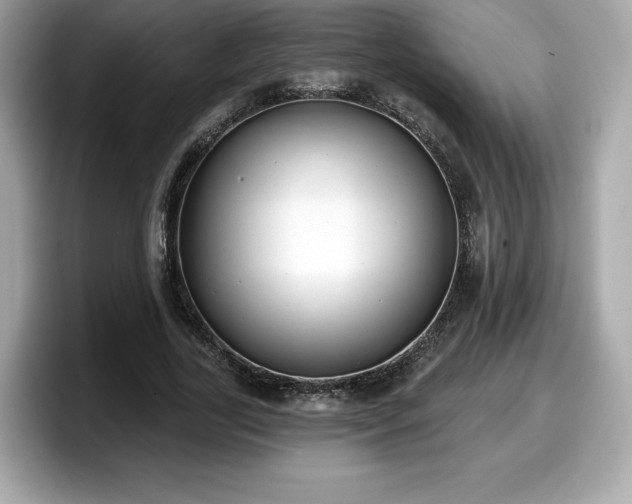 X0000098110731200804111054