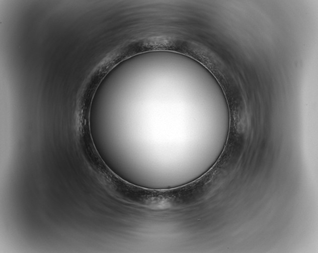 X0000098110735200804111055