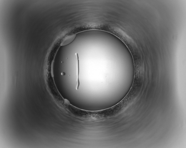 X0000098110736200804111055