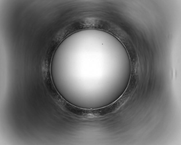 X0000098110737200804111055