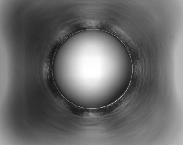 X0000098110739200804111055