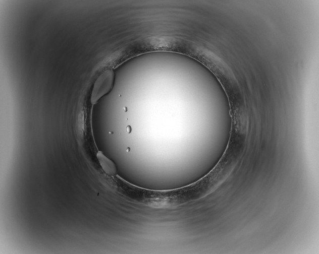 X0000098110740200804111055