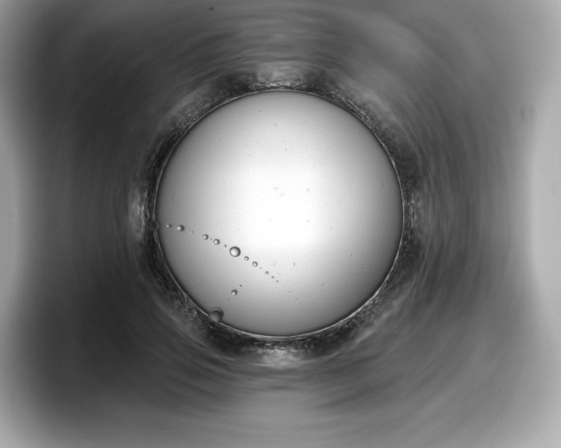 X0000098110741200804111055