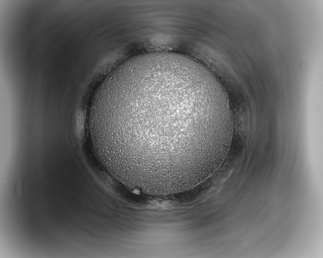 X0000098110742200804111055