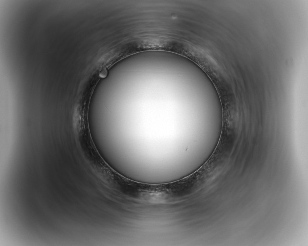 X0000098110743200804111055