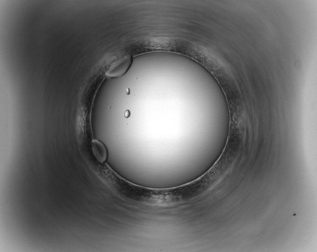 X0000098110744200804111055