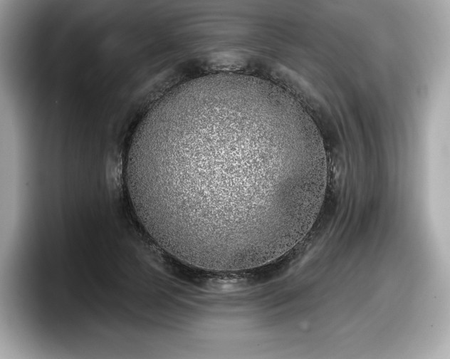 X0000098110745200804111055