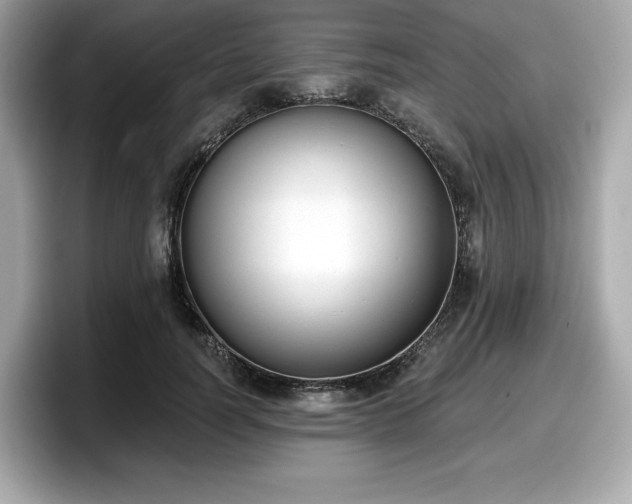 X0000098110746200804111055
