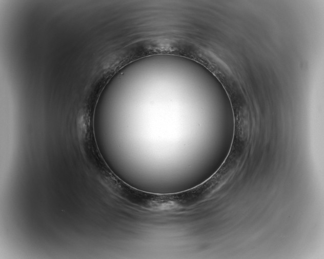 X0000098110747200804111055