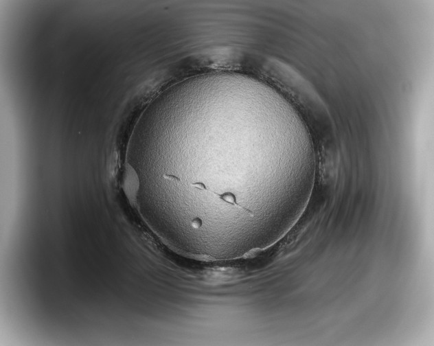 X0000098110748200804111055