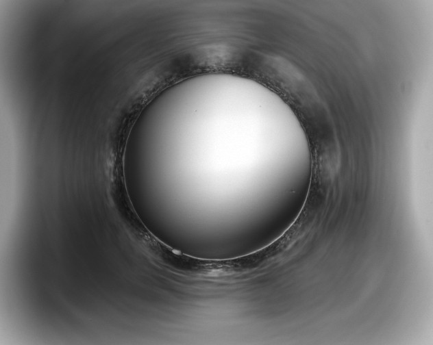 X0000098110750200804111055