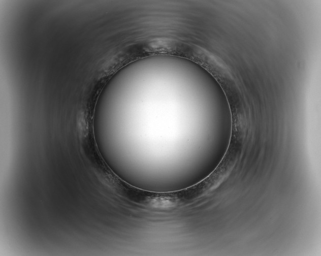 X0000098110751200804111055