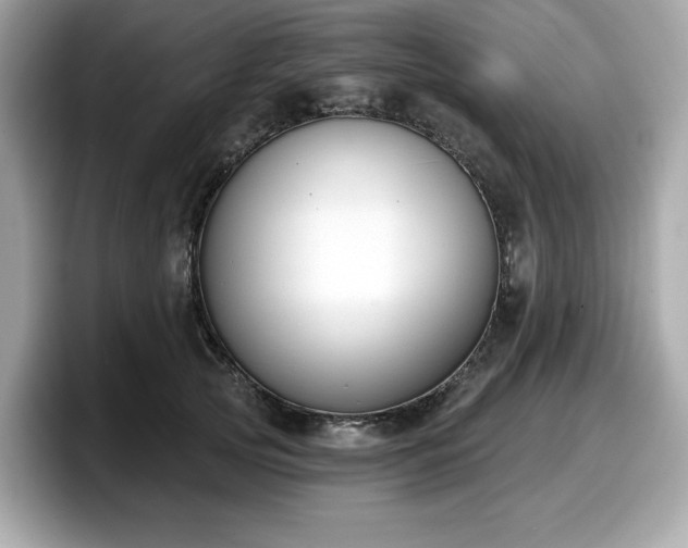 X0000098110753200804111055