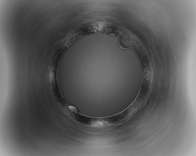 X0000098110754200804111055
