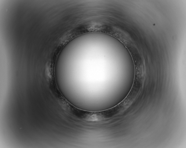 X0000098110755200804111055