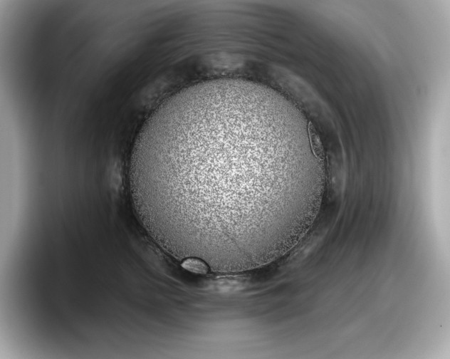 X0000098110758200804111055