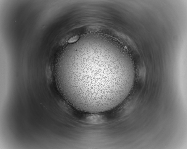 X0000098110759200804111055