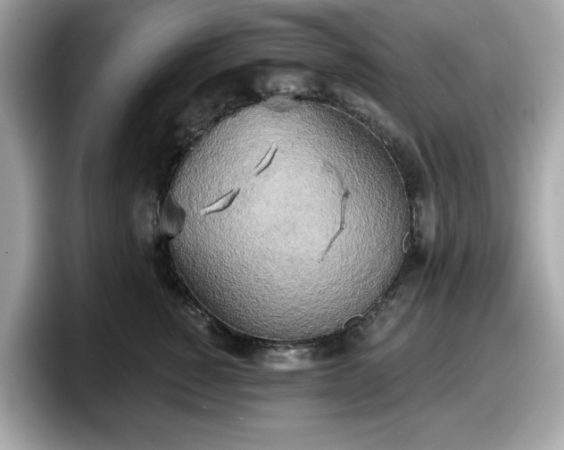 X0000098110760200804111055