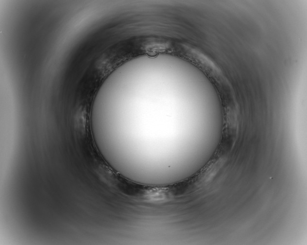 X0000098110761200804111055