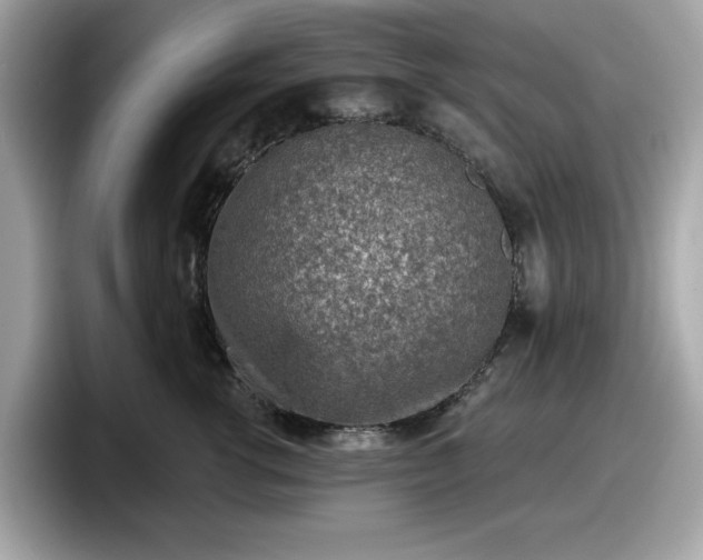 X0000098110762200804111055